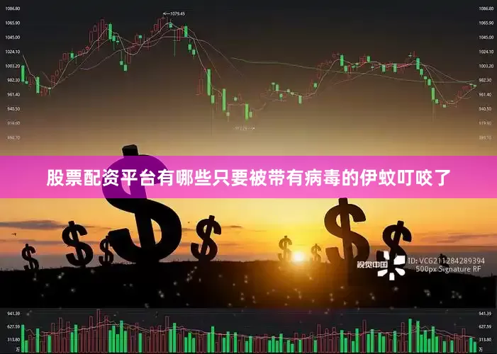 股票配资平台有哪些只要被带有病毒的伊蚊叮咬了