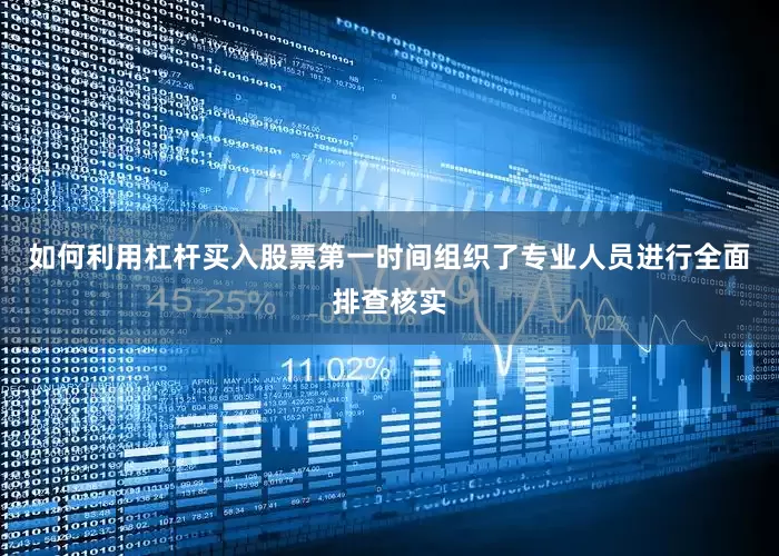 如何利用杠杆买入股票第一时间组织了专业人员进行全面排查核实
