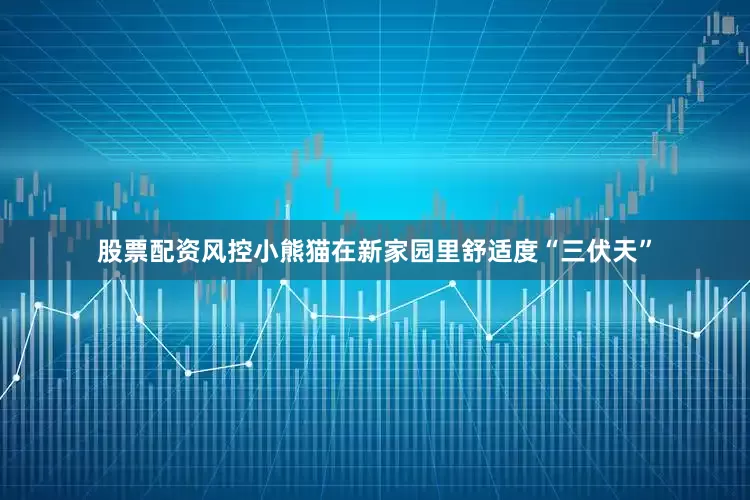 股票配资风控　　小熊猫在新家园里舒适度“三伏天”